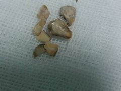 -中农大我爱我爱24h动物医院·中医针灸·猫专科·骨科医疗中心(双井店)