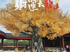 -广东圆玄道观
