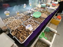 -健跳小海鲜(人民路店)