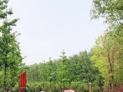 -东郊湿地公园