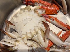 -半岛听涛蒸汽海鲜自助(K11店)