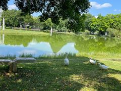 -Club Med地中海俱乐部·桂林度假村