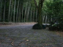 -黄公望隐居地