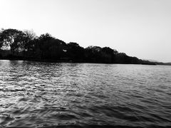 -西湖外事游船(花港观鱼码头)