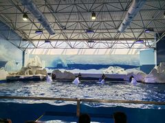 -秦皇岛乐岛海洋王国