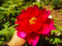 -江南大学(蠡湖校区)