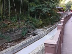 -众神白水涧景区