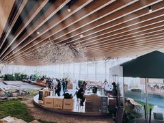 -Seesaw Coffee(朝阳大悦城店)