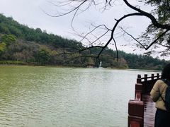 -广州白江湖森林公园