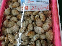-春园海鲜广场D区6号(钟姐海鲜加工店)