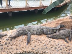 -石家庄极地海洋世界