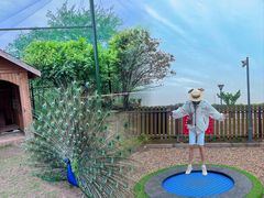 -太阳岛度假酒店