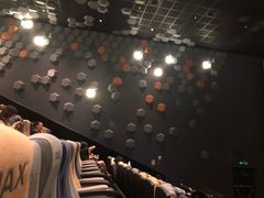 -星河寰宇IMAX影城(星河WORLD·COCO Park店)