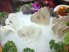-山大王菌莊