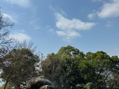 -胡里山炮台
