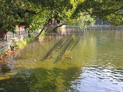 -荔湾湖公园