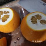 战疫突破性偿试