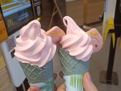 -麦当劳(正定瑞天店)