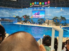 -泉城欧乐堡海洋极地世界