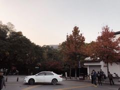 -山沟沟景区