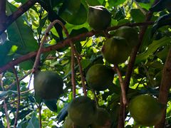 -后谷咖啡(建设巷店)