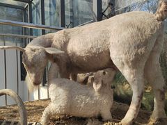 -西安电影制片厂