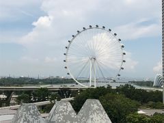 -新加坡泛太平洋酒店