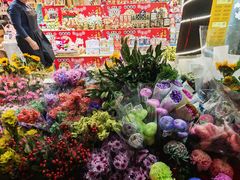 -越秀西湖花市(广州城市广场花卉店)