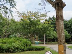 景点-万绿园