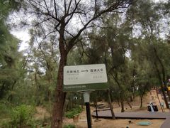 -大京沙滩