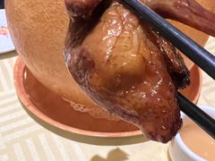 -石岐乳鸽村(南海第三分店)