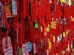 -香山公园