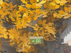 -食悦江南·淮扬菜·烤鸭(亚运村·惠新店)