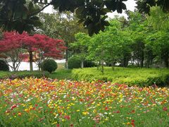 -上海鲜花港