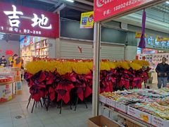 -红星美凯龙(东北全球家居1号店)