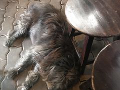 -Tikky Cafe