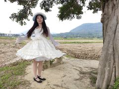 -风云岭森林公园