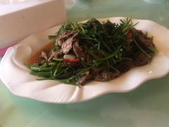 芹菜炒羊肉-马白开来特色羊排揪片子  (总店)