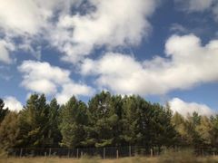 -塞罕坝国家级自然保护区