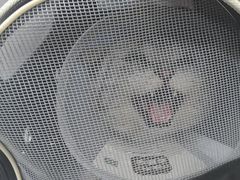 -瑞派宠物医院·犬猫全科·猫友好(宾水西道店)