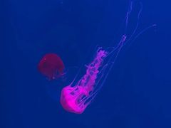 -沈阳海洋探索中心