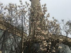 -时光码头民谣公社