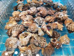 海螺-蓝珊甄选海鲜自助·火锅大排档(近阿那亚店)