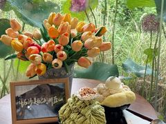 -东莞植物园