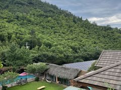 -看见远方·莫干遥远的山民宿