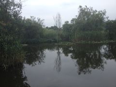 景点-西湖风景区-江洋畈生态公园