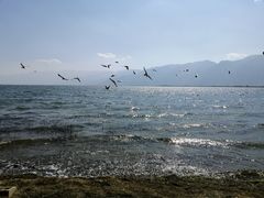 -大理洱海