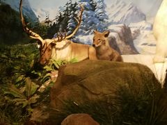 -陕西自然博物馆