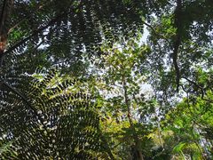 -中国科学院西双版纳热带植物园