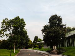 -张坝桂圆林公园